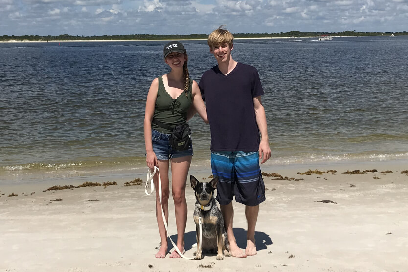 can you take dogs to new smyrna beach